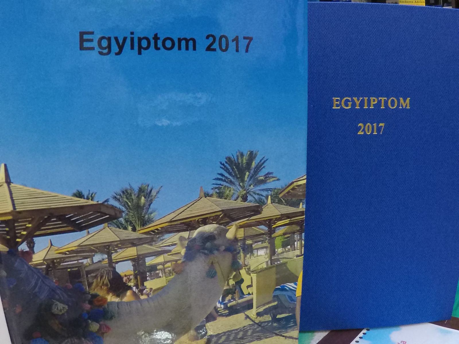 Diplomakötés